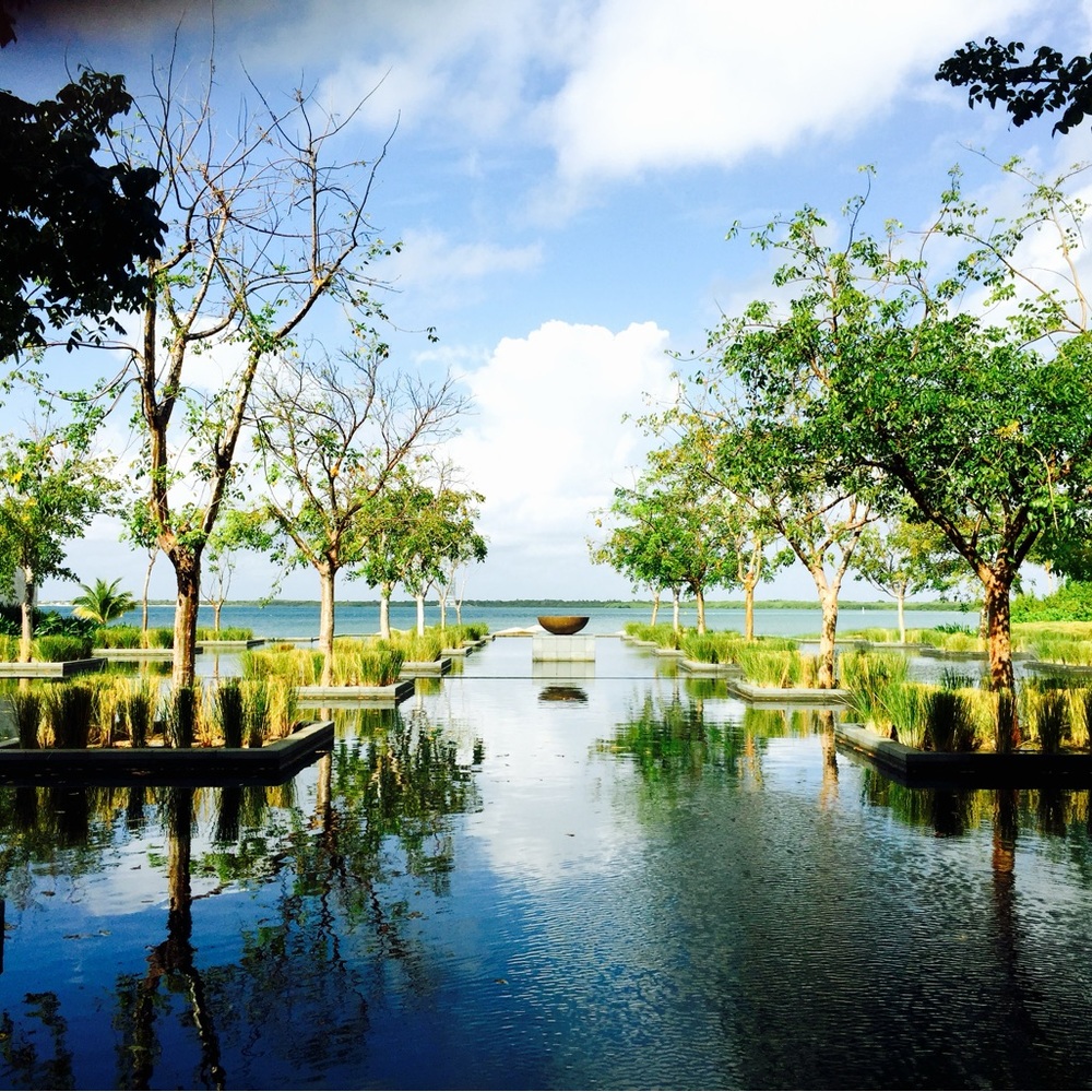 Meet your Posher, PJ